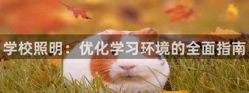 学校照明：优化学习环境的全面指南