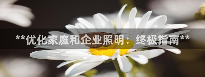 **优化家庭和企业照明：终极指南**