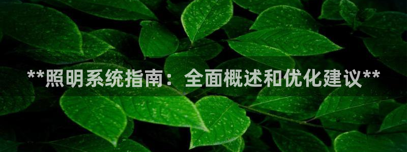 **照明系统指南：全面概述和优化建议**