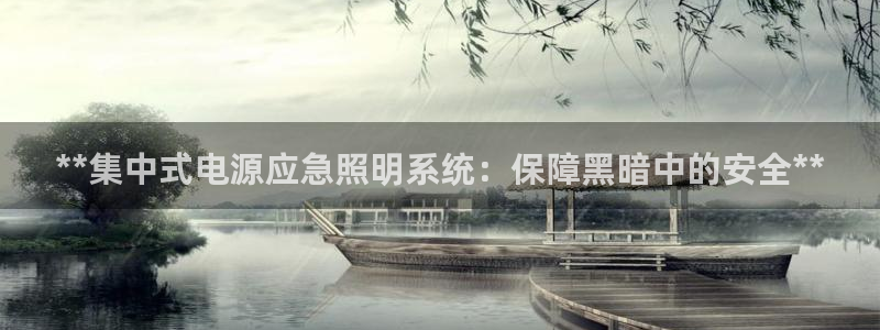 **集中式电源应急照明系统：保障黑暗中的安全**