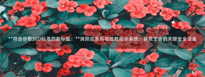 **符合谷歌SEO标准的新标题：**消防应急照明疏散指示系统：拯救生命的关键安全设备