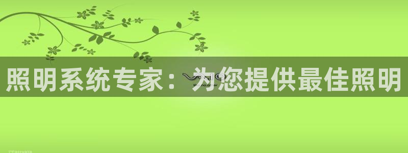 照明系统专家：为您提供最佳照明