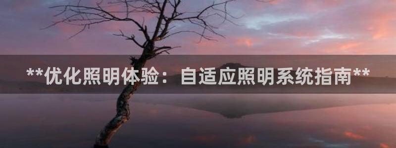 **优化照明体验：自适应照明系统指南**