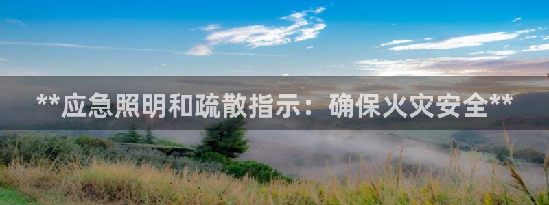 **应急照明和疏散指示：确保火灾安全**