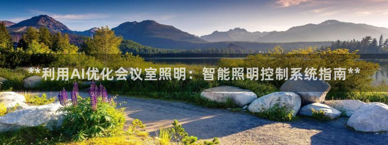 **利用AI优化会议室照明：智能照明控制系统指南**