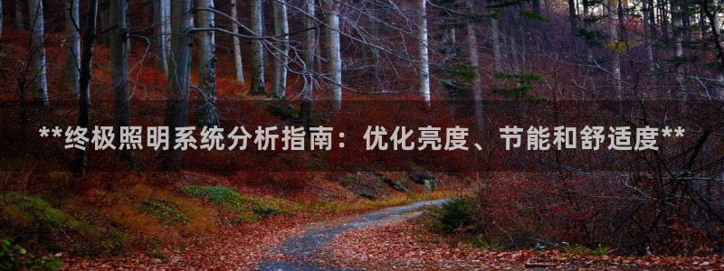 **终极照明系统分析指南：优化亮度、节能和舒适度**