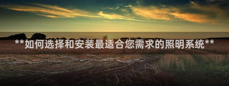 **如何选择和安装最适合您需求的照明系统**