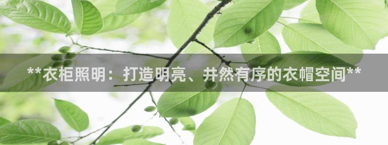 **衣柜照明:打造明亮、井然有序的衣帽空间**
