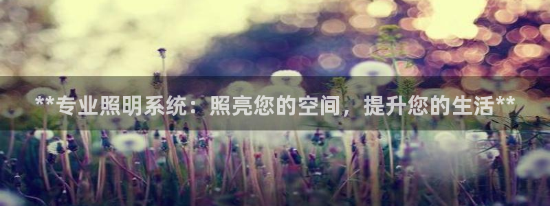 **专业照明系统：照亮您的空间，提升您的生活**