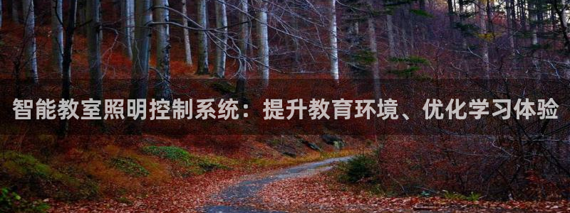 智能教室照明控制系统：提升教育环境、优化学习体验