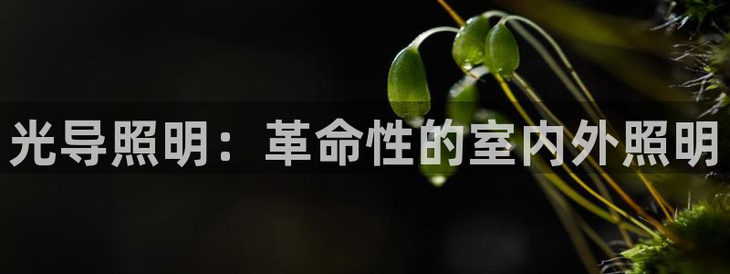 光导照明：革命性的室内外照明