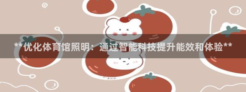 **优化体育馆照明：通过智能科技提升能效和体验**