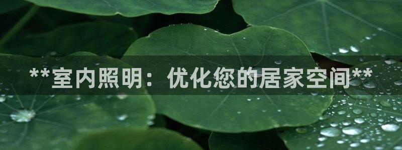 **室内照明：优化您的居家空间**