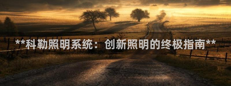 **科勒照明系统：创新照明的终极指南**