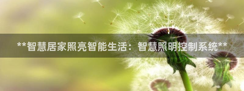 **智慧居家照亮智能生活：智慧照明控制系统**