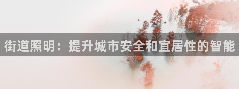 街道照明：提升城市安全和宜居性的智能