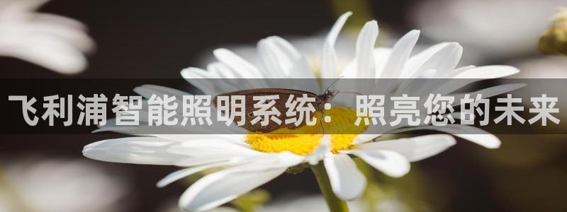 飞利浦智能照明系统：照亮您的未来