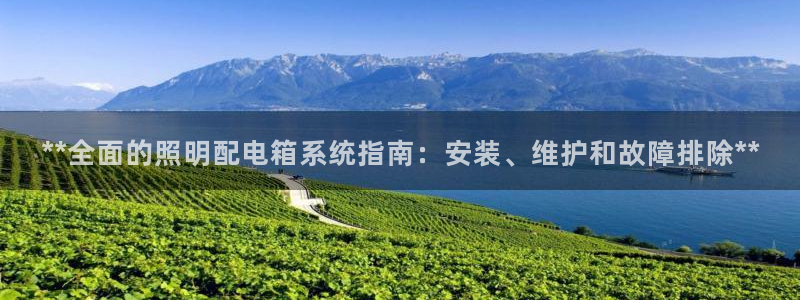 **全面的照明配电箱系统指南：安装、维护和故障排除**