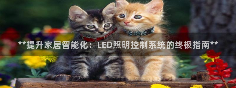 **提升家居智能化：LED照明控制系统的终极指南**