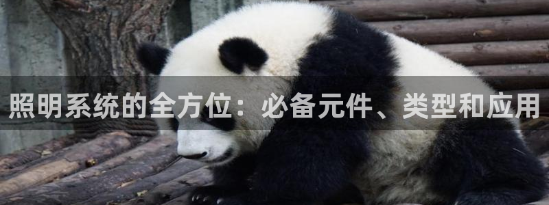 照明系统的全方位：必备元件、类型和应用