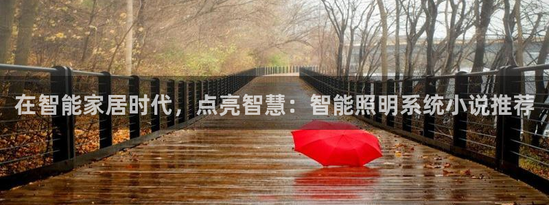 在智能家居时代，点亮智慧：智能照明系统小说推荐