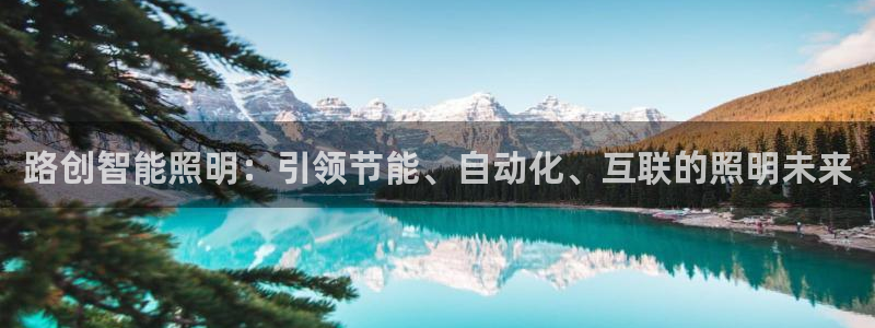 路创智能照明：引领节能、自动化、互联的照明未来