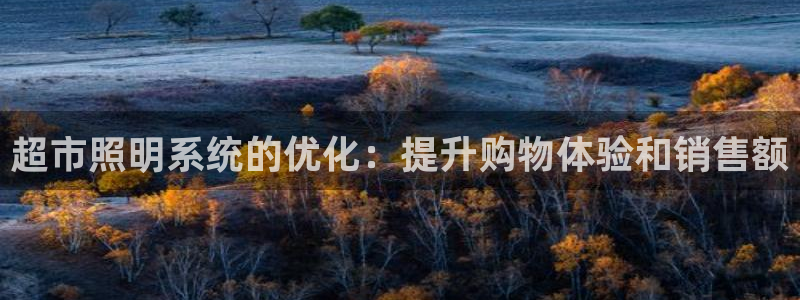 超市照明系统的优化：提升购物体验和销售额