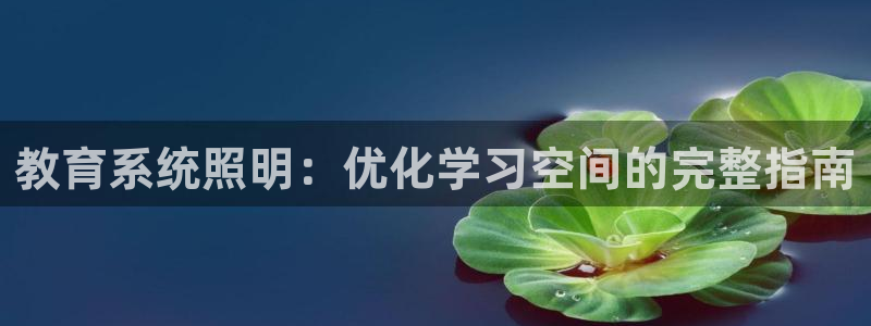 教育系统照明：优化学习空间的完整指南