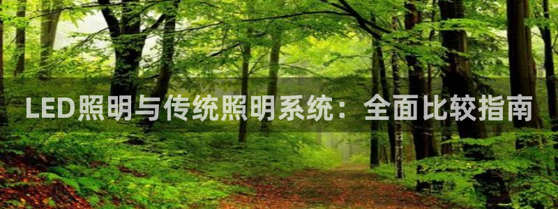 LED照明与传统照明系统：全面比较指南