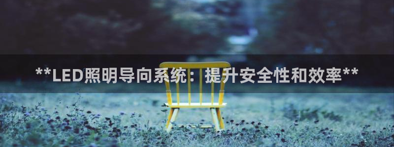 **LED照明导向系统：提升安全性和效率**