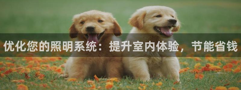 优化您的照明系统：提升室内体验，节能省钱