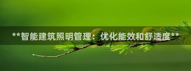 **智能建筑照明管理：优化能效和舒适度**