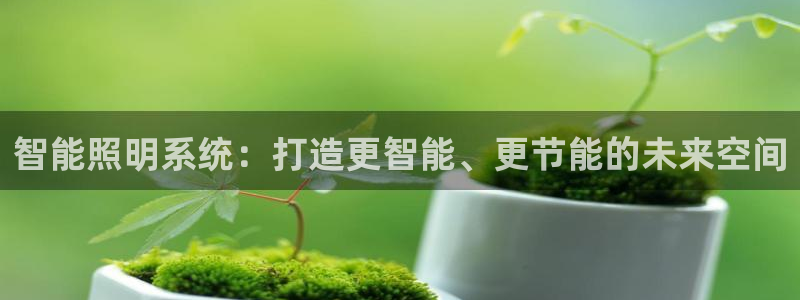 智能照明系统：打造更智能、更节能的未来空间