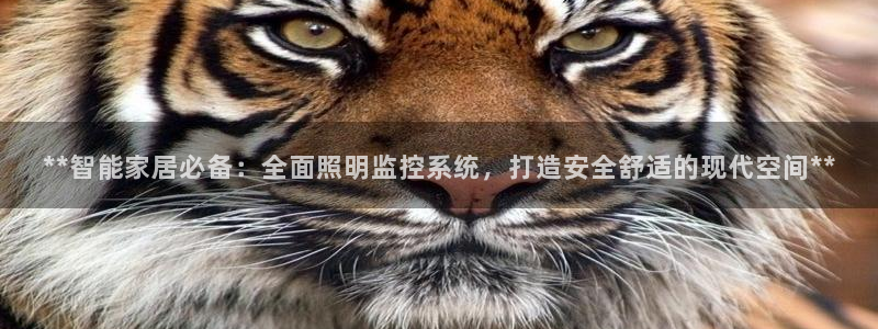 **智能家居必备:全面照明监控系统,打造安全舒适的现代空间**