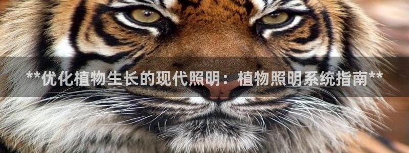 **优化植物生长的现代照明：植物照明系统指南**