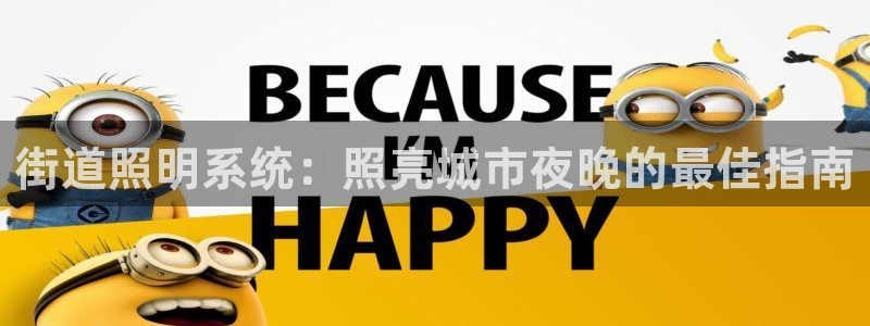 街道照明系统：照亮城市夜晚的最佳指南