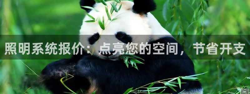 照明系统报价:点亮您的空间,节省开支