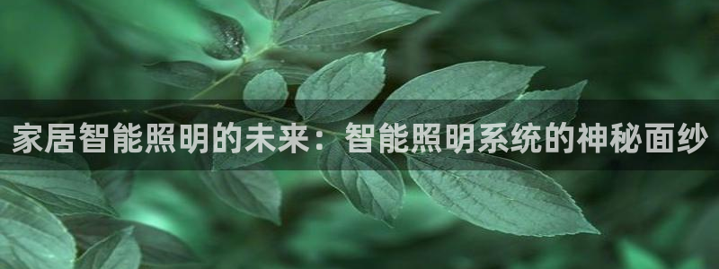 家居智能照明的未来：智能照明系统的神秘面纱
