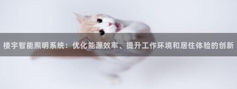 楼宇智能照明系统：优化能源效率、提升工作环境和居住体验的创新