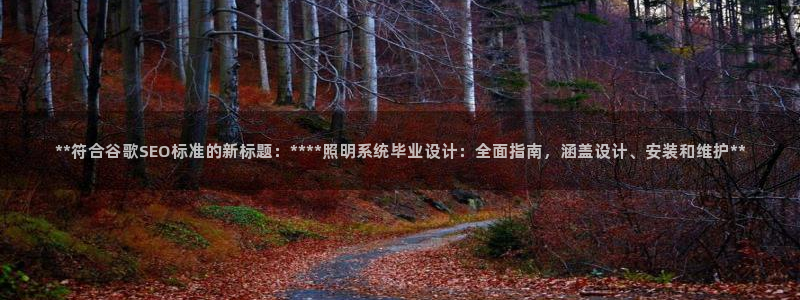 **符合谷歌SEO标准的新标题：****照明系统毕业设计：全面指南，涵盖设计、安装和维护**