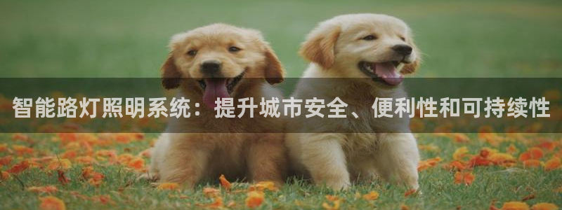 智能路灯照明系统：提升城市安全、便利性和可持续性