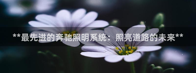 **最先进的奔驰照明系统：照亮道路的未来**
