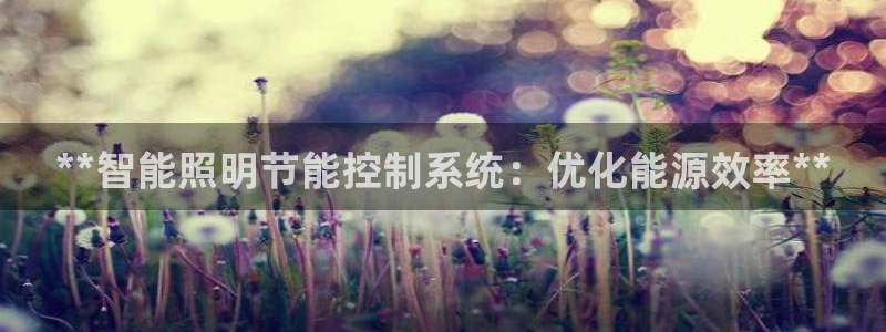 **智能照明节能控制系统：优化能源效率**