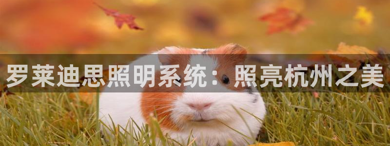 罗莱迪思照明系统：照亮杭州之美