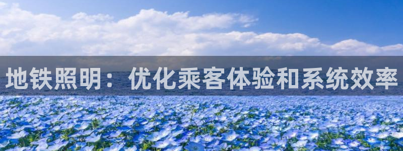 地铁照明：优化乘客体验和系统效率