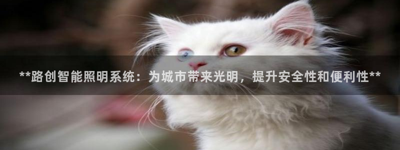 **路创智能照明系统：为城市带来光明，提升安全性和便利性**