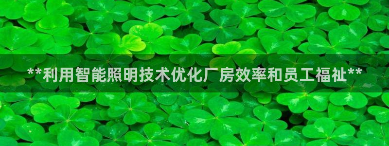 **利用智能照明技术优化厂房效率和员工福祉**