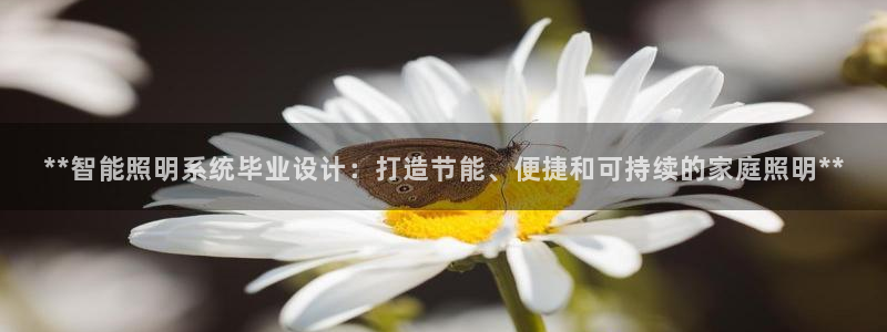 **智能照明系统毕业设计：打造节能、便捷和可持续的家庭照明**
