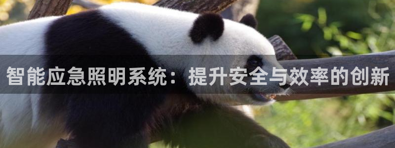 智能应急照明系统：提升安全与效率的创新