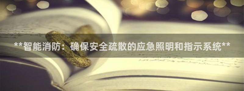 **智能消防：确保安全疏散的应急照明和指示系统**